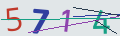 verifycode